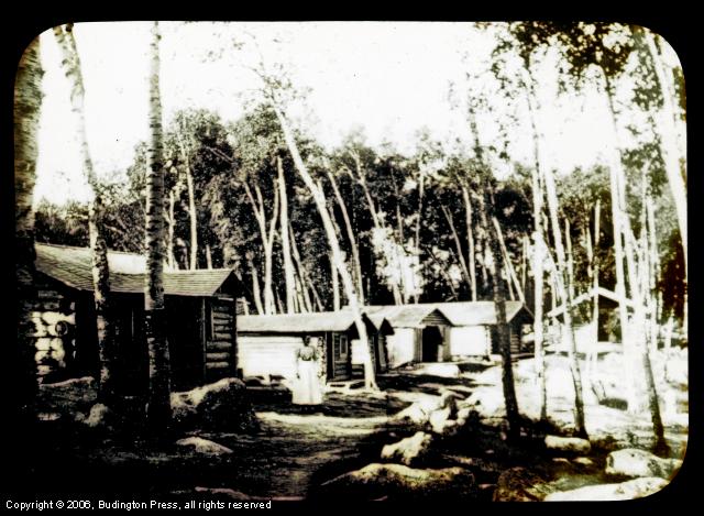Cabins in the Woods